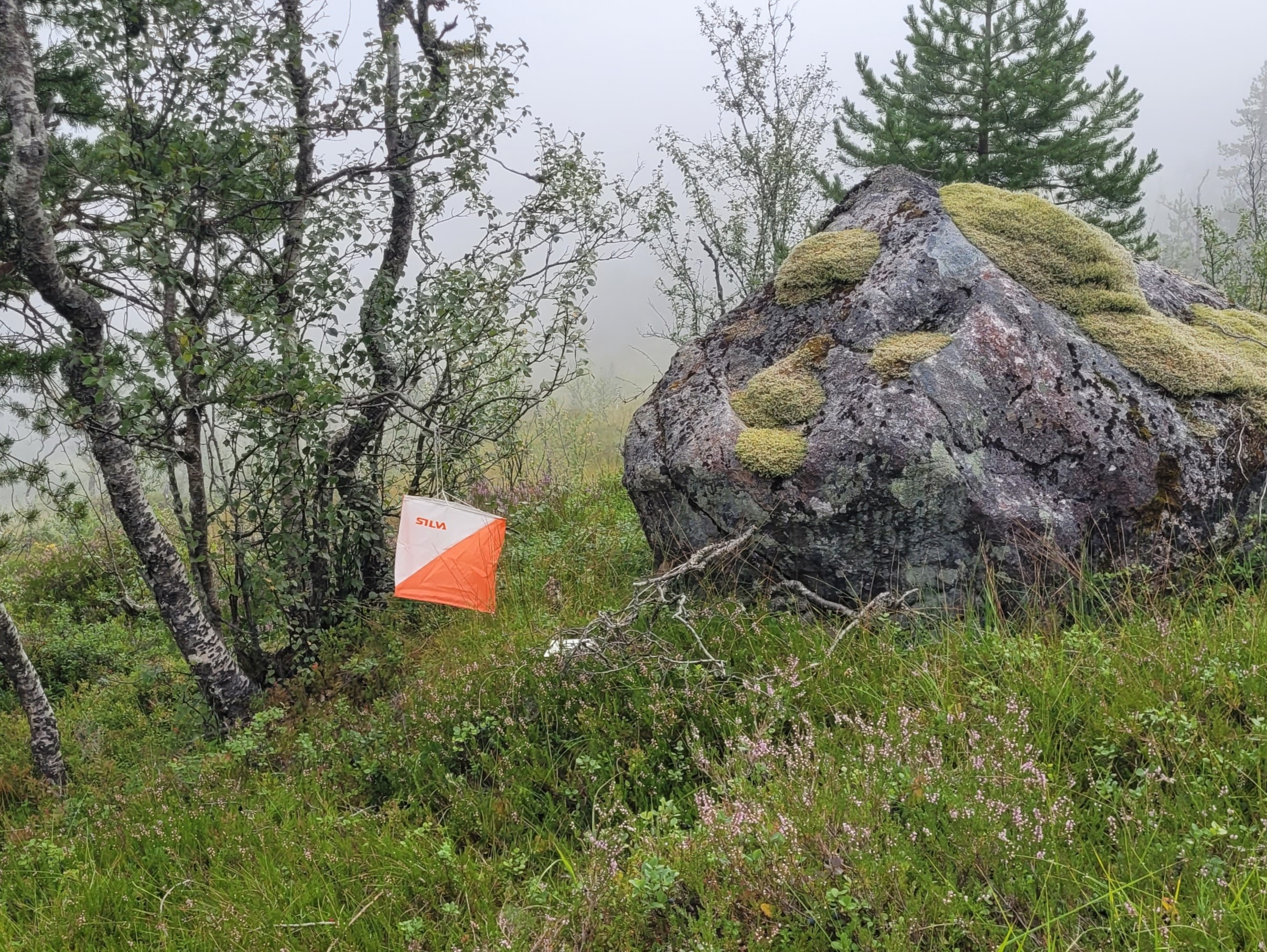 Nærløp Gjesdalsdalen 20. august